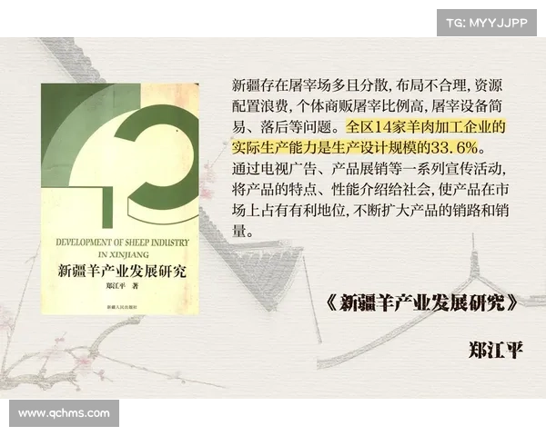 普埃市发展新机遇探讨:推动地方经济振兴与可持续发展路径分析 普埃市发展新机遇探讨:推动地方经济振兴与可持续发展路径分析