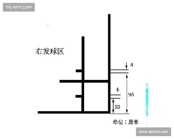 羽毛球网设计与制作全解析,提升比赛体验与运动性能的关键要素 羽毛球网设计与制作全解析,提升比赛体验与运动性能的关键要素